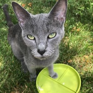 Meet your Posher, Avery